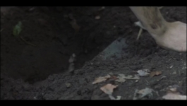 Domina - Season 02 Episode 06